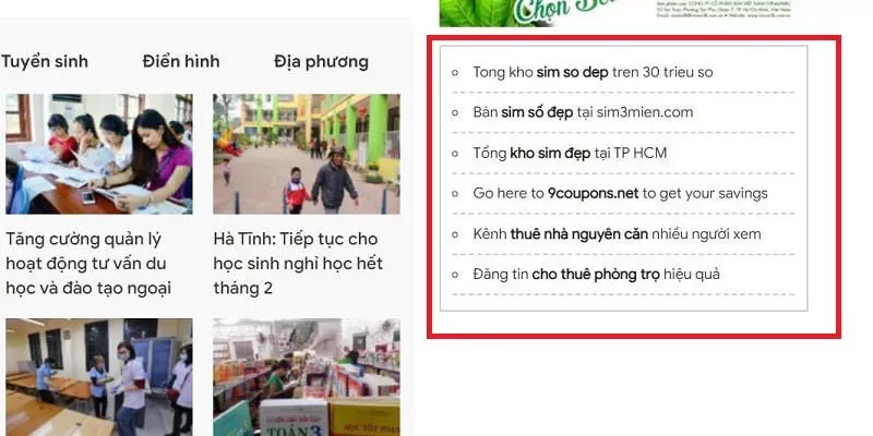 textlink báo là gì