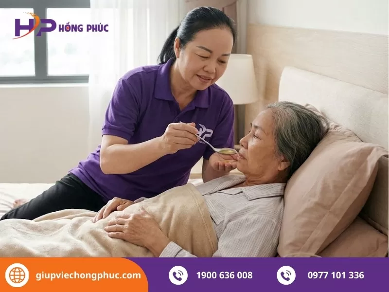 Giúp việc Hồng Phúc - Địa chỉ tin cậy cho các gia đình tại Hà Nội